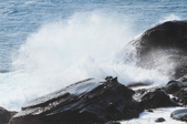 Enlarge photo 99