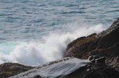 Enlarge photo 100