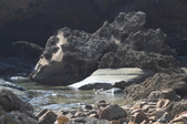 Enlarge photo 103