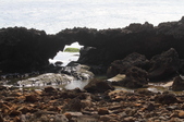 Enlarge photo 104