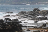 Enlarge photo 106