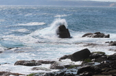 Enlarge photo 112