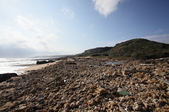 Enlarge photo 116