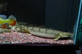 Enlarge photo 27
