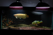 Enlarge photo 30