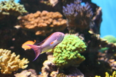 Enlarge photo 18