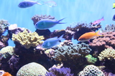 Enlarge photo 22