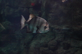 Enlarge photo 27