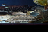 Enlarge photo 37