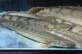 Enlarge photo 37