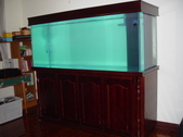 Enlarge photo 38