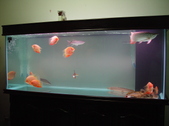 Enlarge photo 39