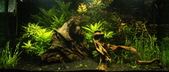 Enlarge photo 36