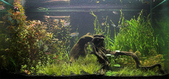 Enlarge photo 30
