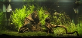 Enlarge photo 34
