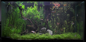 Enlarge photo 28