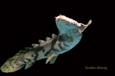 Enlarge photo 8