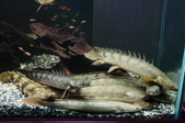 Enlarge photo 34