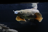 Enlarge photo 40