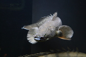 Enlarge photo 51