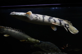 Enlarge photo 28