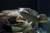 Enlarge photo 43