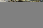 Enlarge photo 58
