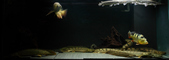 Enlarge photo 80