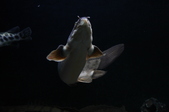 Enlarge photo 146