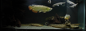 Enlarge photo 176