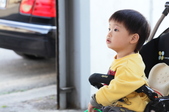 Enlarge photo 67