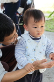 Enlarge photo 79