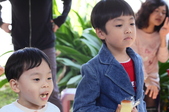 Enlarge photo 82
