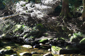 Enlarge photo 25
