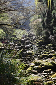 Enlarge photo 28