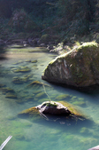 Enlarge photo 31