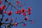 Enlarge photo 33