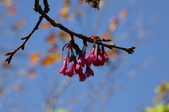 Enlarge photo 34