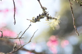 Enlarge photo 36