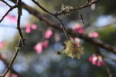 Enlarge photo 37