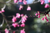 Enlarge photo 38