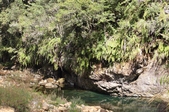 Enlarge photo 42