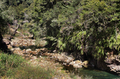 Enlarge photo 43