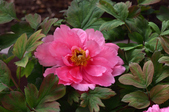 Enlarge photo 45