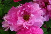 Enlarge photo 47