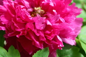 Enlarge photo 56