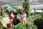 Enlarge photo 80