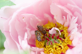Enlarge photo 84