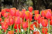 Enlarge photo 94