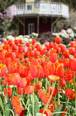 Enlarge photo 97